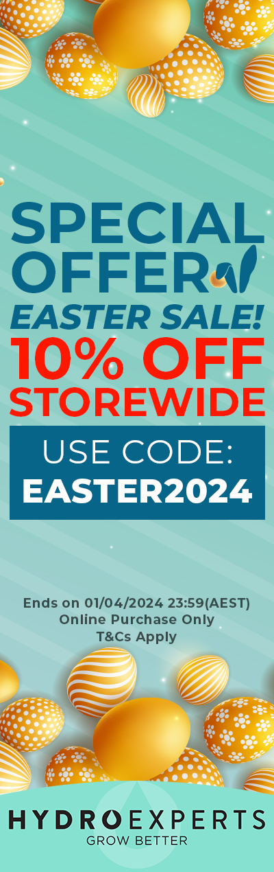 Special Easter Sale 2024