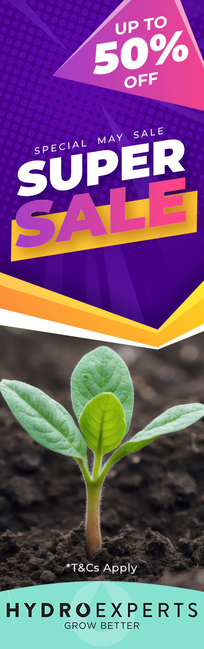 Special May Super Sale 2026 - Up to 50% OFF