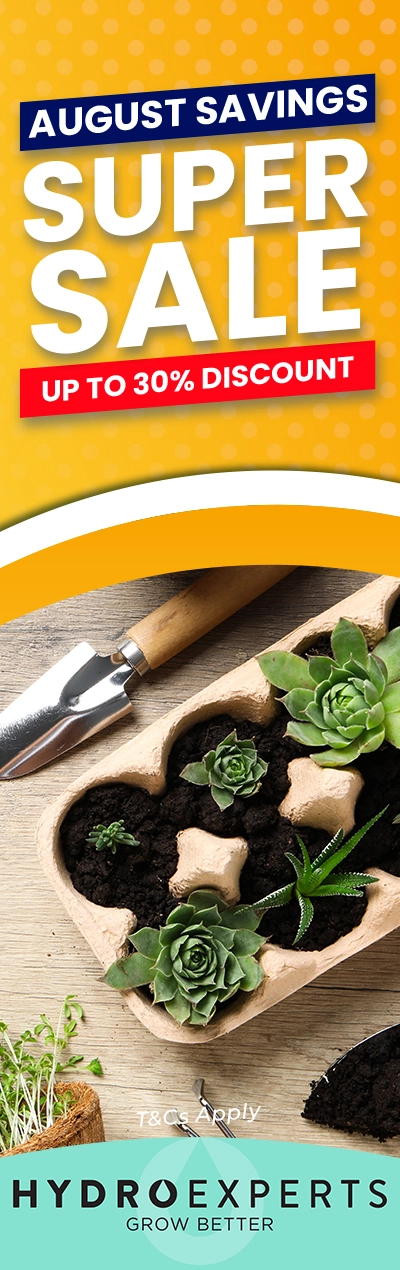 August Super Savings Sale 2025 - Up To 30% Off