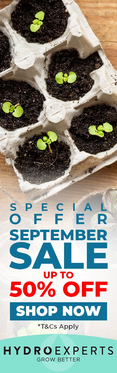 September Special Sale 2025 - Up To 50% Off