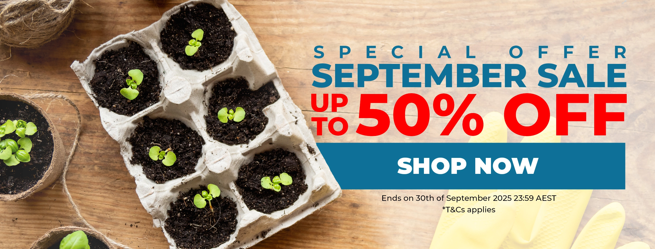 September Special Sale 2025 - Up To 50% Off