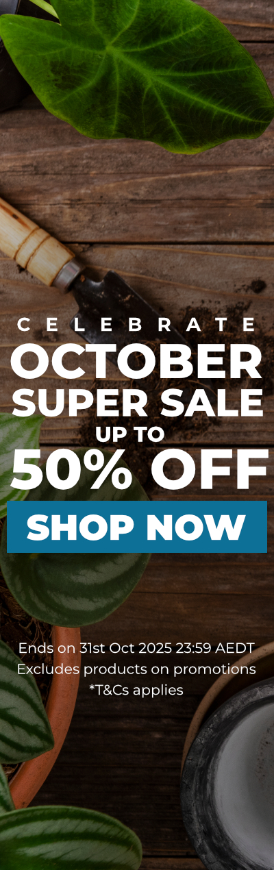 October Super Sale 2025 - Up To 50% Off