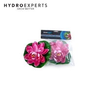PondMAX Floating Waterlily - Pink