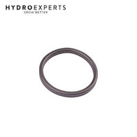 Oase BioMaster - Replacement Pre-Filter Gasket | 45149