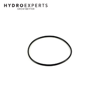 Oase Bitron C - Replacement O-Ring 65 x 6 SH50 A  | 96646