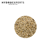 Dr Greenthumbs Malted Barley - 400G / 1KG / 2.5KG | Organic