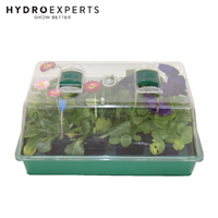 Ryset Medium Propagator Box - 24 Cell | 35CM x 25CM | Propagation | Cuttings