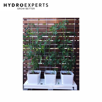 Hydroponic Mini Tomato Farm - 3 Plant | Grow Kit 