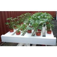 Mini Farm PLUS Complete Grow Kit - 50 Plant Sites | 3M x 5 Rows | Herb Farm Bench
