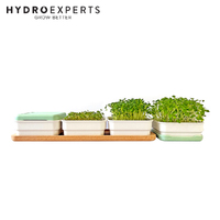 Micropod Continuous Grow Kit - Seafoam / Stone / Avocado