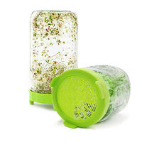 Glass Mason Sprouting Jar & Lid - For Micro Green
