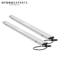 SanLight FLEX II 2 x 10W | Clone LED Grow Light