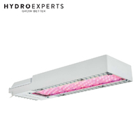 Philips 520W GreenPower Top light Compact Deep RED White LED - 3.5 umol/J | LB | 1800 umol/s