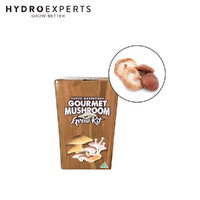 Aussie Mushroom Ready to Grow Mushroom Kit - Shiitake | Easy to Fruit
