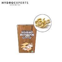 Aussie Mushroom Ready to Grow Mushroom Kit - Yellow Oyster | Easy to Fruit