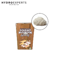 Aussie Mushroom Ready to Grow Mushroom Kit - Lions Mane | Easy to Fruit