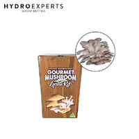 Aussie Mushroom Ready to Grow Mushroom Kit - Grey Oyster | Easy to Fruit
