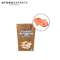 Aussie Mushroom Ready to Grow Mushroom Kit - Pink Oyster | Easy to Fruit