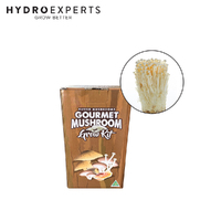 Aussie Mushroom Ready to Grow Mushroom Kit - Enoki | Easy to Fruit