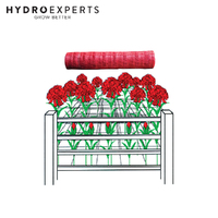 Garden Trellis Scrog Netting - 1.2M x 1000M | Red | For Canopy Management