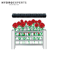 Garden Trellis Scrog Netting - 2M x 1000M | Black | For Canopy Management