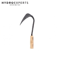 Youngju Traditional Korean Homi Small