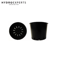 Orchid Pots - 80 X 65MM | Plastic Plant Net Pot