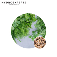 3 In 1 Herb Mix | Italian Parsley / Coriander / Dill | Organic Seeds | All Seasons