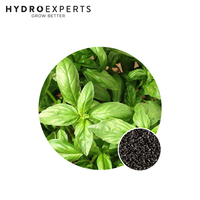 Basil Sweet Genovese - 0.4G / 5G / 25G / 50G / 100G | Organic Seeds | Spring - Summer