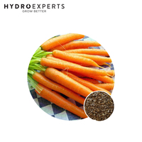 Carrot Danvers - Seed Packet | Organic Seeds | All Seasons