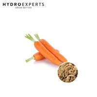 Carrot Western Red - 1G / 5G / 25G | Organic Seeds | All Seasons