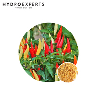 Chilli Fiesta - Seed Packet | Organic Seeds | Spring - Summer