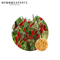 Chilli Jalapeno - Seed Packet | Organic Seeds | Spring - Summer