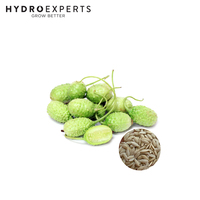 Cucumber West Indian Gherkin - Seed Packet | Organic Seeds | Spring - Summer