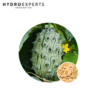 Cucumber African Horned - 1G / 5G / 25G | Organic Seeds | Spring - Summer