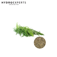 Dill - 1G / 25G / 50G / 100G | Organic Seed | Spring - Autumn