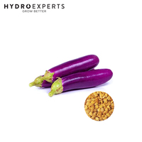 Eggplant Long Purple - 1G / 5G | Organic Seeds | Spring - Summer