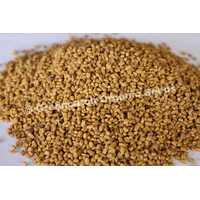 Fenugreek - 25G / 250G / 500G / 1KG / 2KG / 5KG / 10KG | Organic Seeds | Autumn - Spring