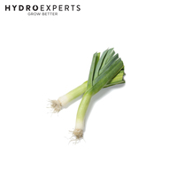 Leek - Musselburgh - 1G / 5G / 25G | Organic Seeds | Autumn - Winter