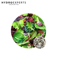 Mesclun Mix - 2G / 5G | Organic Seeds | All Seasons