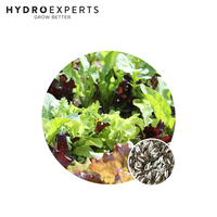 Mesclun Mix Lettuce - 1G / 5G / 25G | Organic Seeds | All Seasons