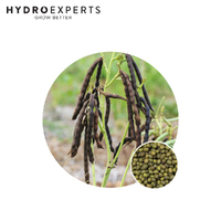Mungbean - 20G / 500G / 1KG / 2KG / 5KG / 10KG / 20KG / 40KG | Organic Seeds | Spring - Summer