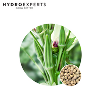 Okra Clemsons Spineless - Seed Packet | Organic Seeds | Spring-Summer
