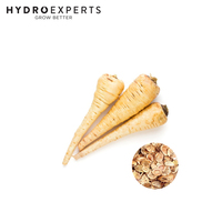 Parsnip Hollow Crown - Seed Packet | Organic Seeds | Autumn - Winter