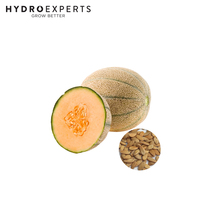 Rockmelon Planters Jumbo - Seed Packet | Organic Seeds | Autumn - Winter - Spring