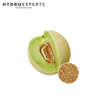 Rockmelon Honey Dew - 1.5G / 25G | Organic Seeds | Spring - Summer