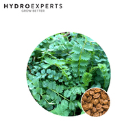 Salad Burnet - Seed Packet | Organic Seeds | All Seasons