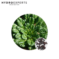 Tatsoi - 5G / 25G / 50G | Organic Seeds | Spring - Autumn