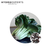 Tatsoi Black Knight - Seed Packet | Organic Seeds | Spring - Autumn 