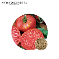 Tomato Brandy Wine Pink - Seed Packet | Organic Seeds | Spring - Summer